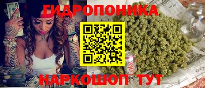 кокс Гусь-Хрустальный